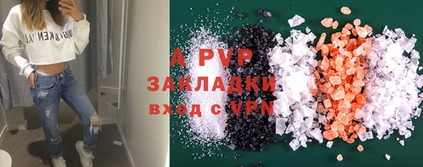 прущие крисы Горняк