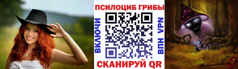 как найти наркотики Джанкой Псилоцибиновые грибы Psilocybe